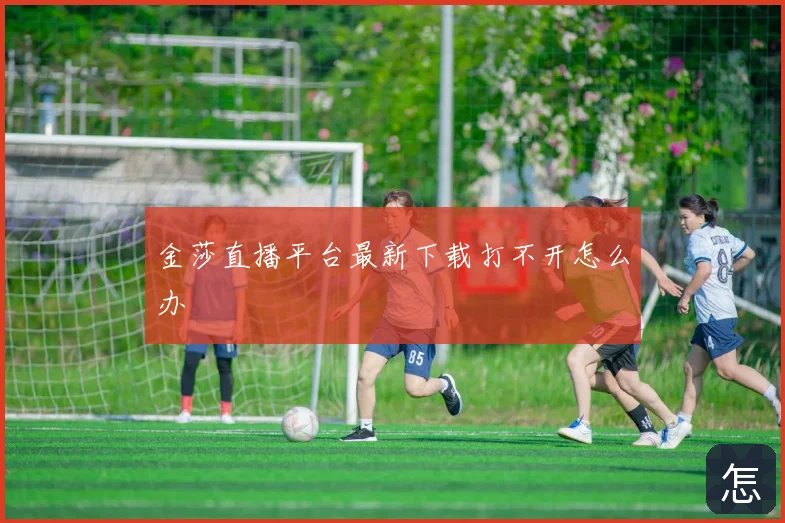 金莎直播平台最新下载打不开怎么办